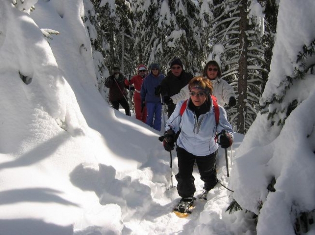  Raquetas de nieve en el bosque 